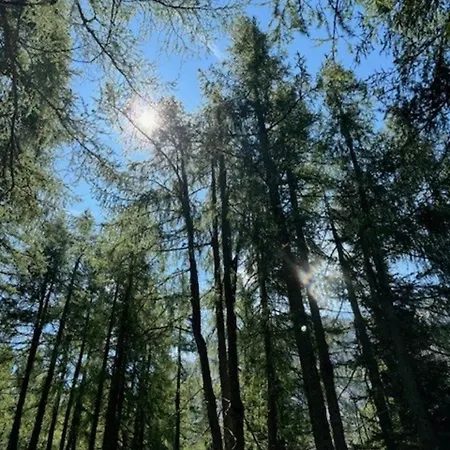 Papagenoblick * Filzmoos