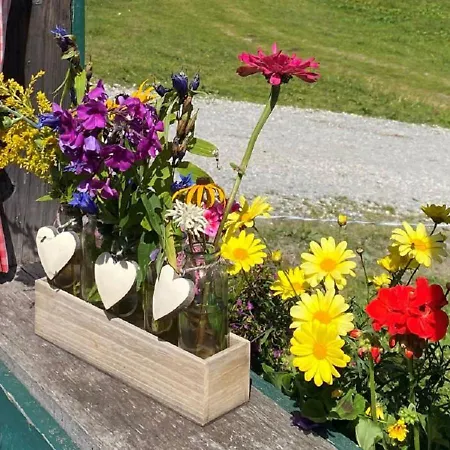 Daire Papagenoblick Filzmoos