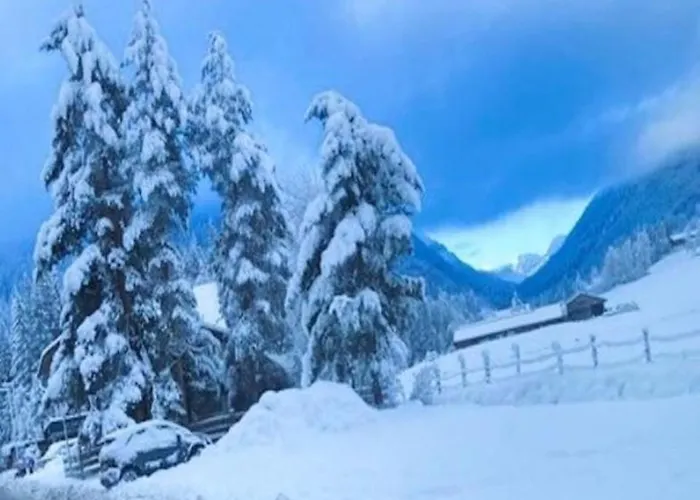 Daire Papagenoblick *