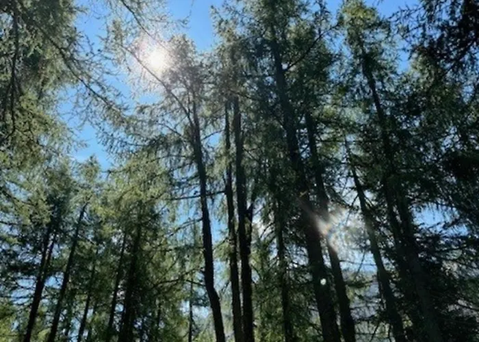 Papagenoblick * Filzmoos