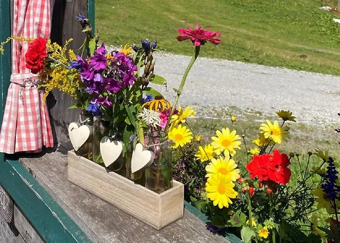 Daire Papagenoblick Filzmoos